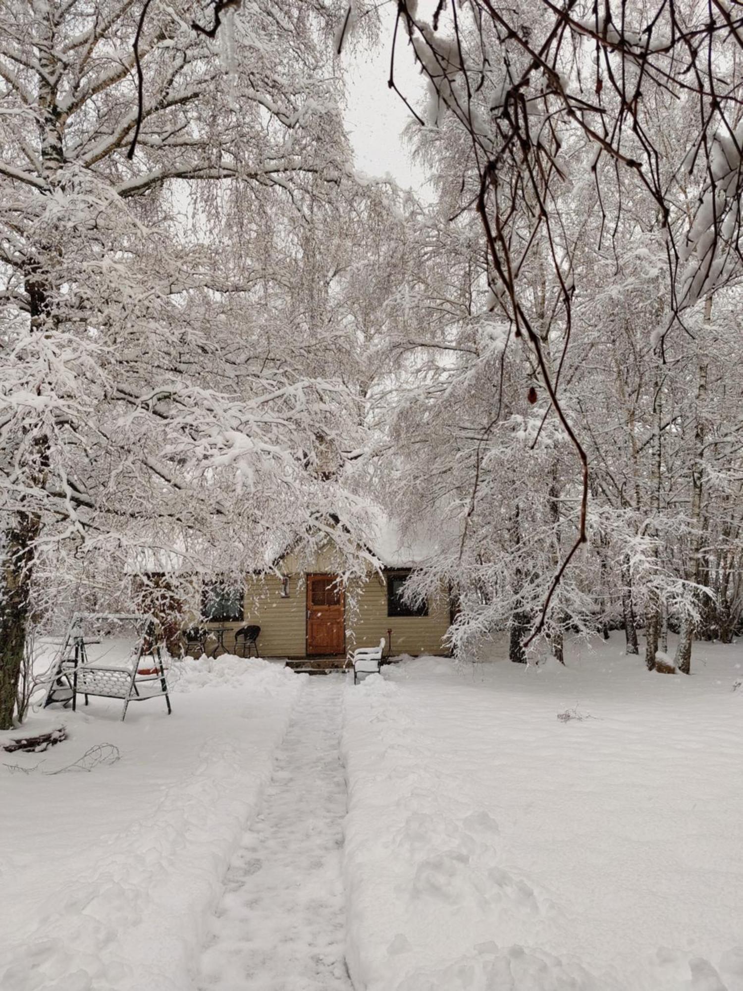 Tonise Holiday Houses Lilbi  المظهر الخارجي الصورة